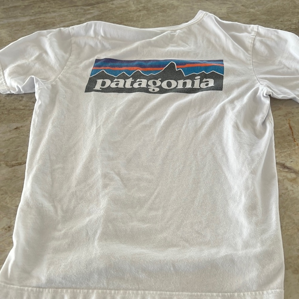 Patagonia Logo t shirt